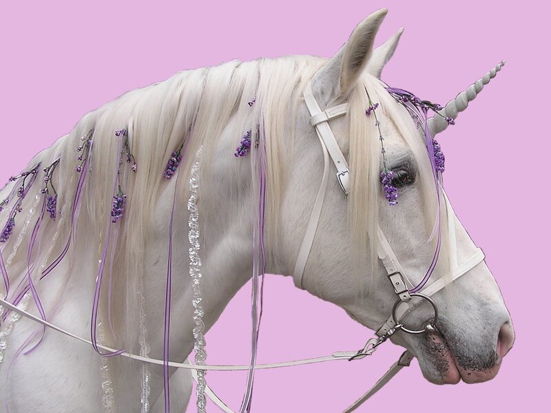 White Unicorn Horse