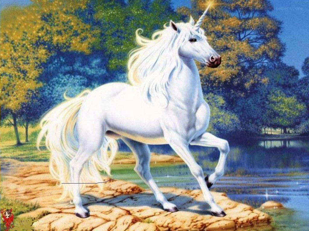 White unicorn in a forest