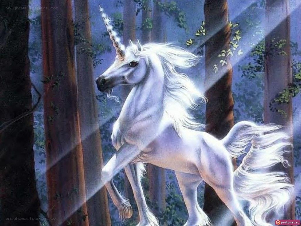 White unicorn in a forest
