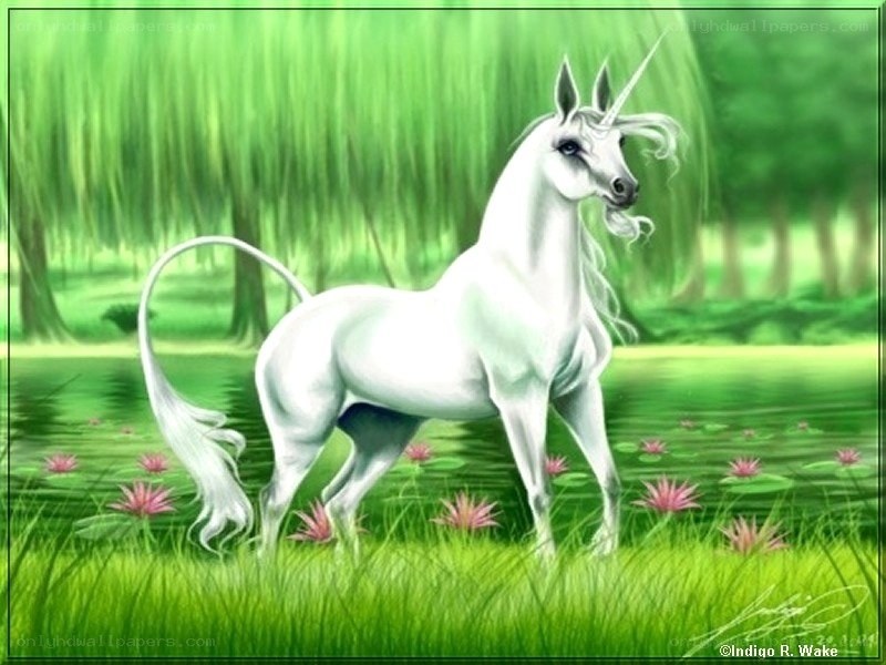White unicorn in a green forest