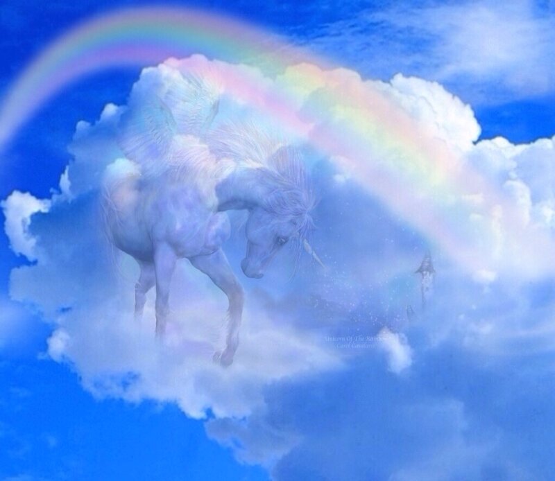 White Unicorn in Clouds