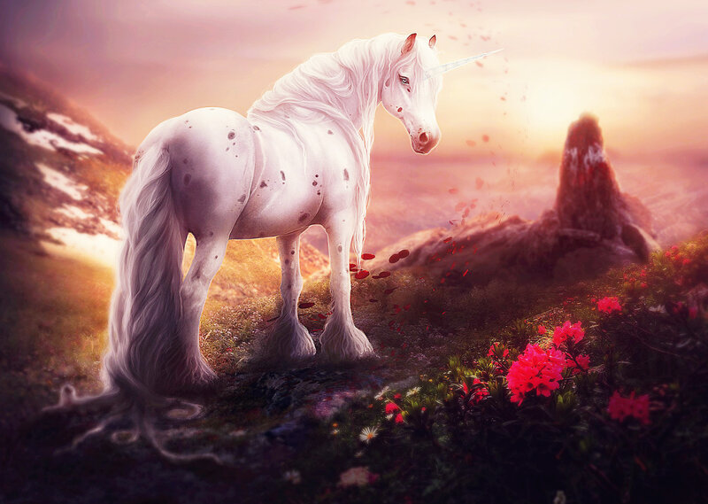 White Unicorn in Field — Serene