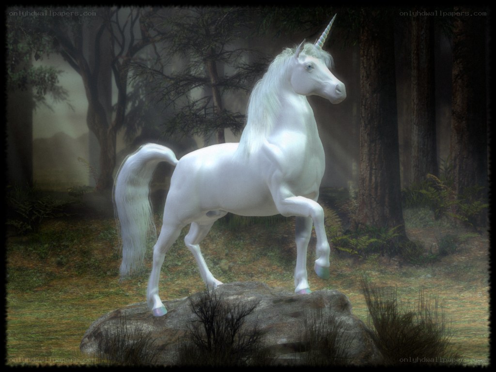 white unicorn in forest