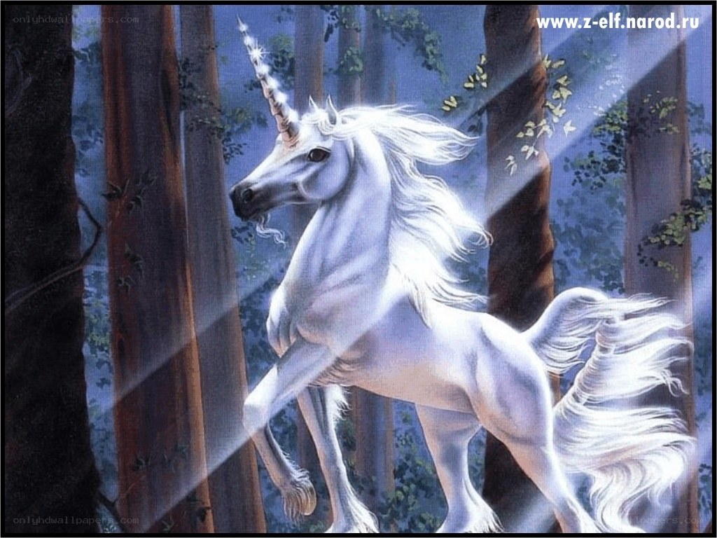 White unicorn in forest