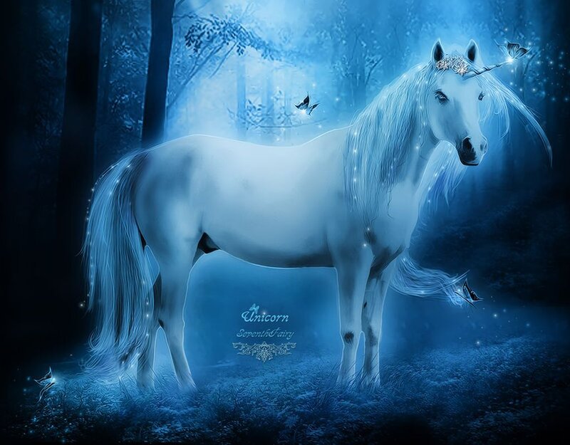 White Unicorn in Forest — Blue, Mystical, Night