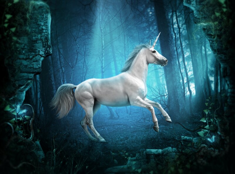 White Unicorn in Forest — Blue, Mystical