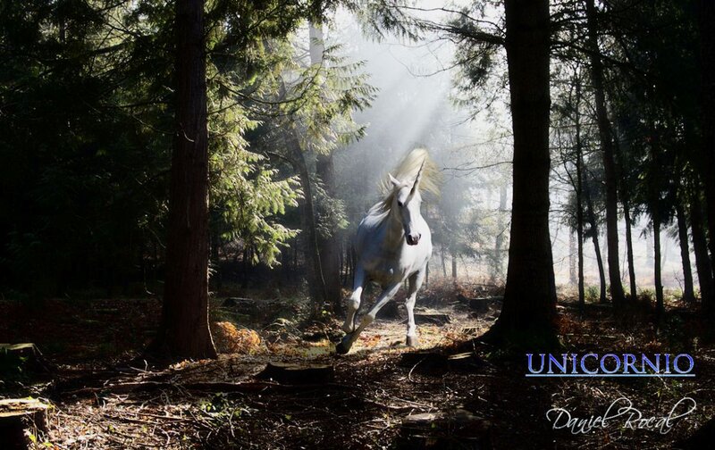 White Unicorn in Forest — Dramatic