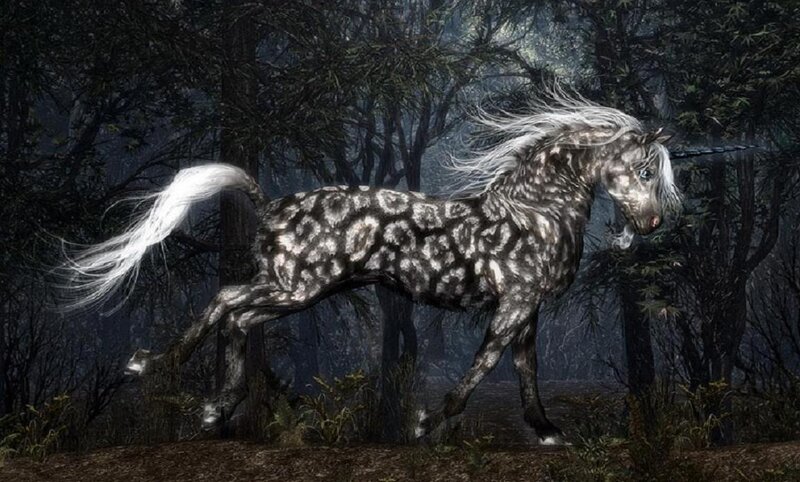 White Unicorn in Forest — Gray