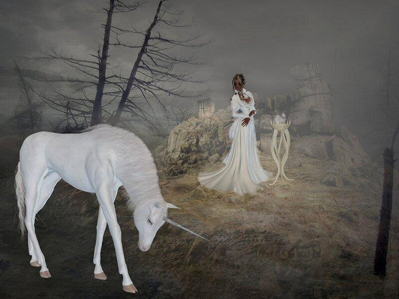White Unicorn in Forest — Mysterious