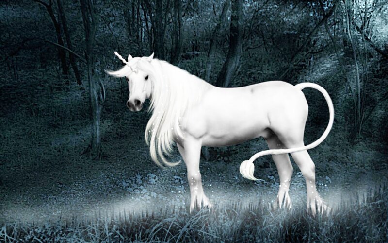 White Unicorn in Forest — Mystical, Night