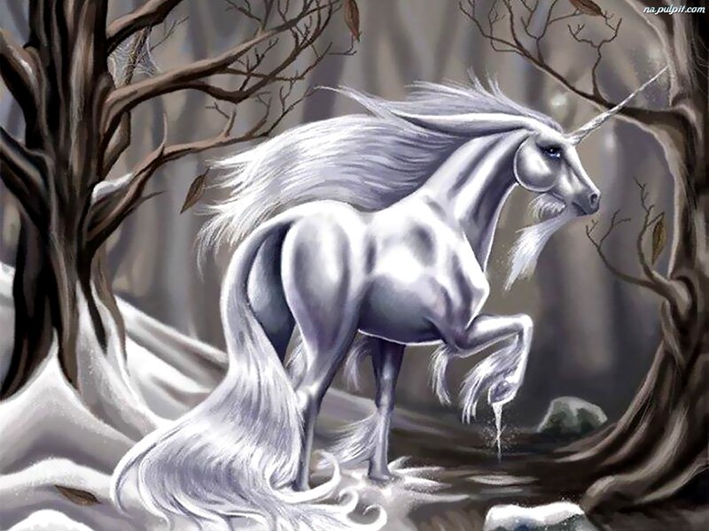White Unicorn in Forest — Mystical