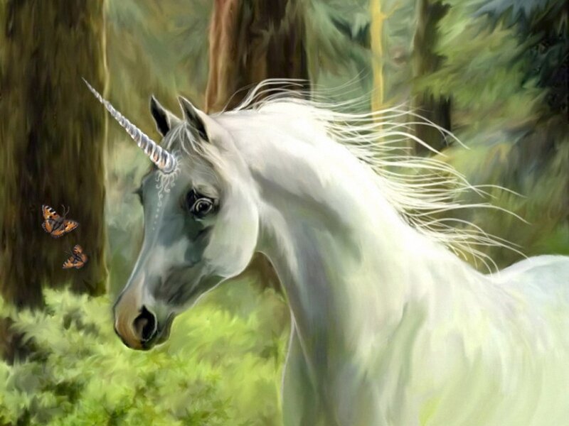 White Unicorn in Forest — Serene, Afternoon