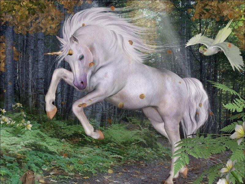 White Unicorn in Forest — Serene, Autumn