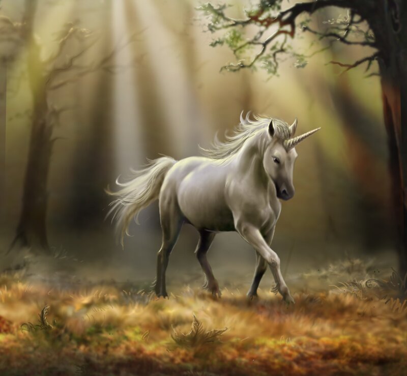 White Unicorn in Forest — Serene, Morning