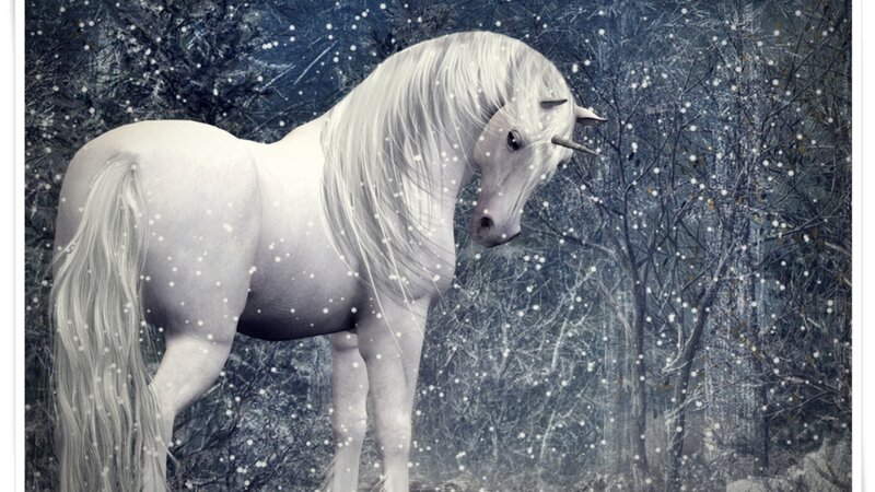 White Unicorn in Forest — Serene, Winter