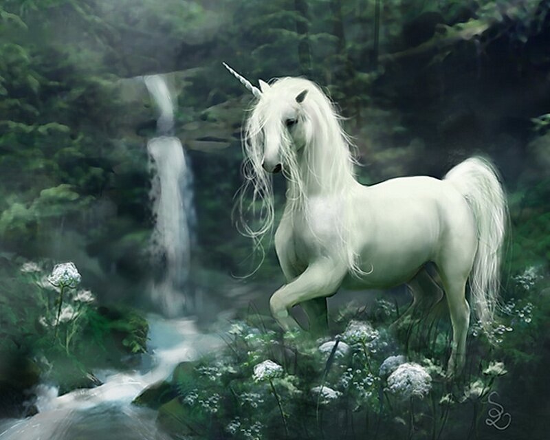 White unicorn in forest