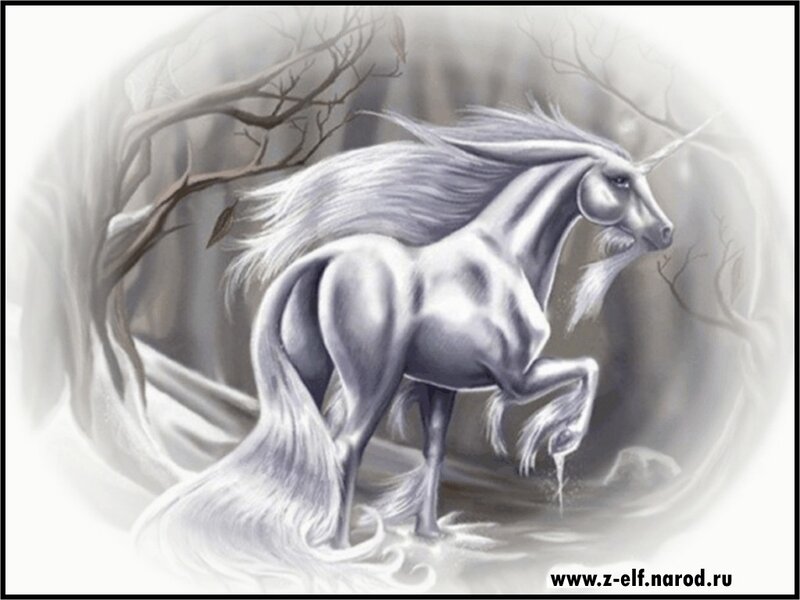 White unicorn in misty forest