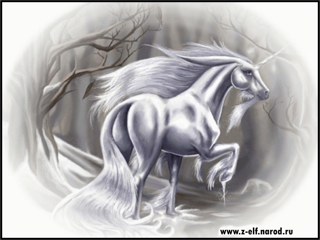 White unicorn in misty forest
