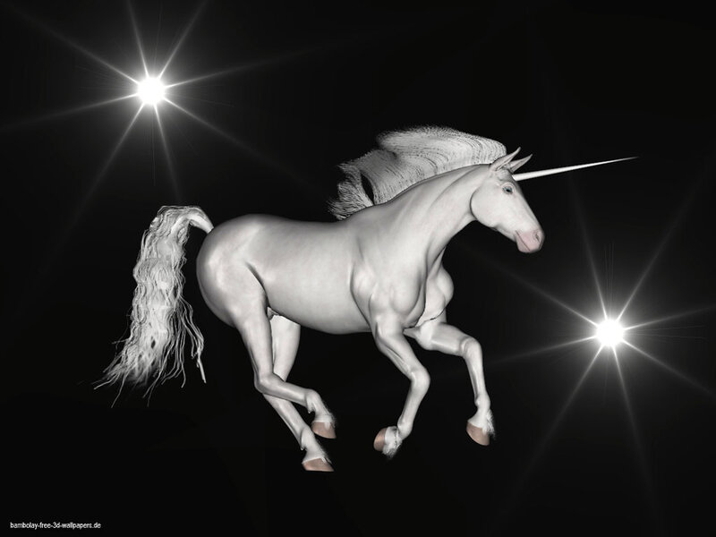 white unicorn in motion