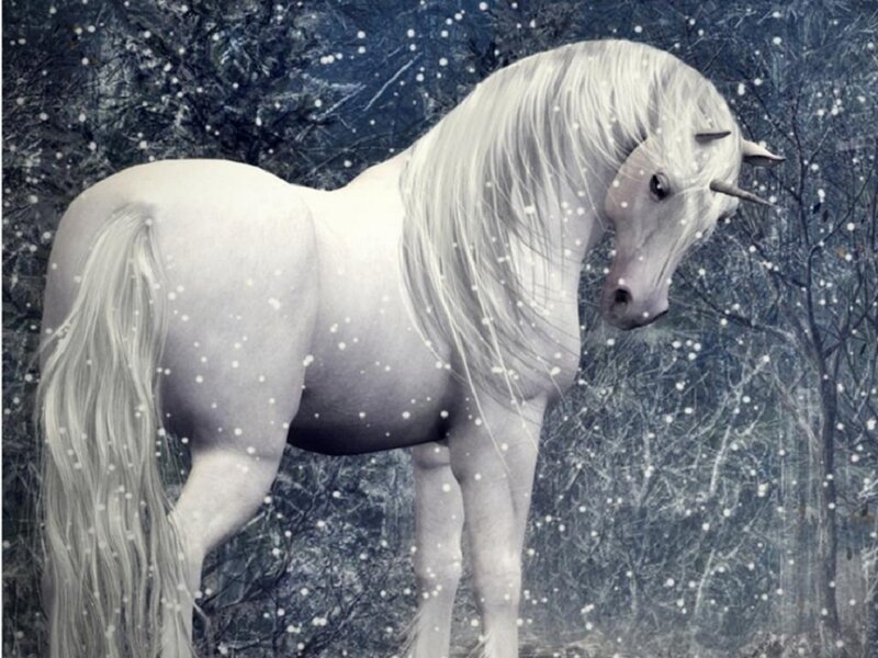 White Unicorn in Snow — Serene