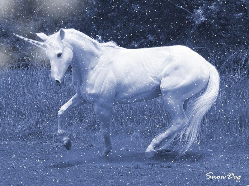 White unicorn in snowy field