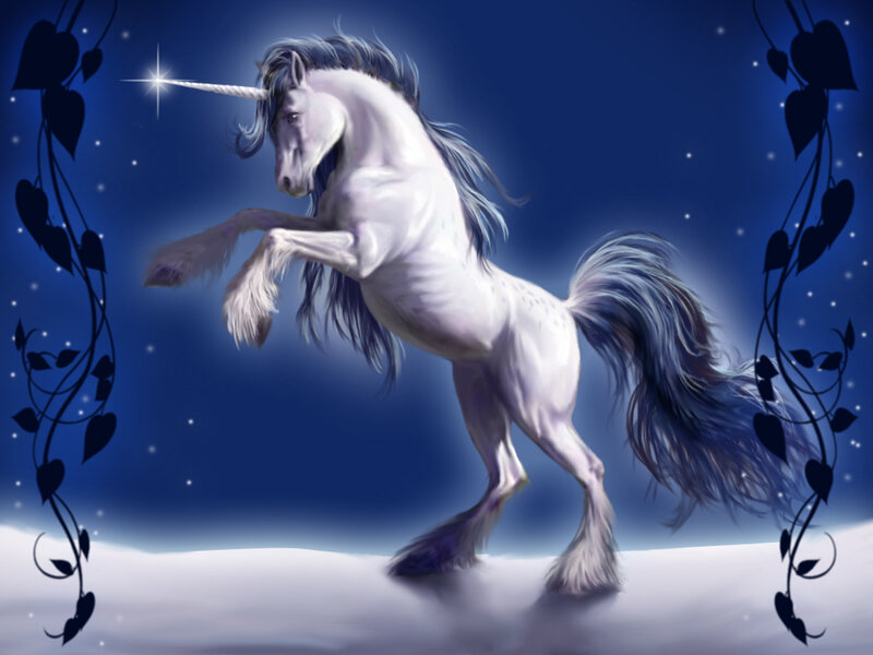 White unicorn in starry night