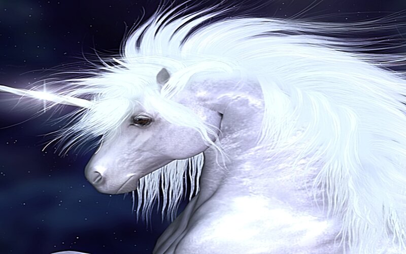 white unicorn in starry sky