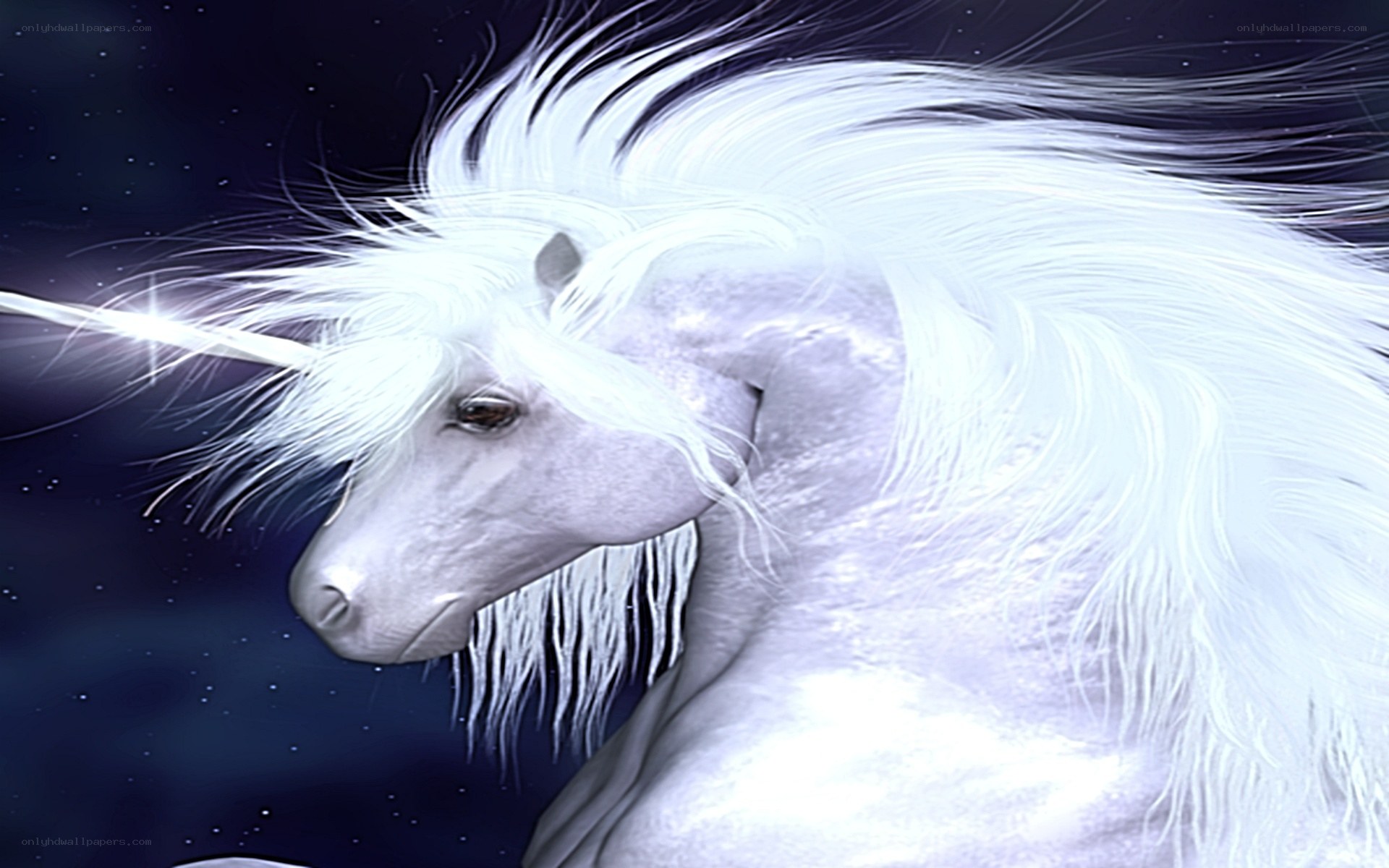 white unicorn in starry sky