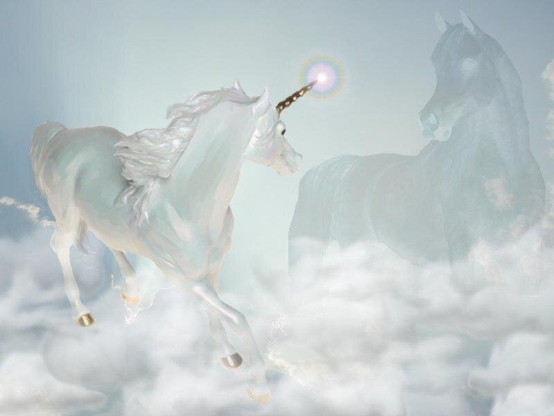 white unicorn in the clouds