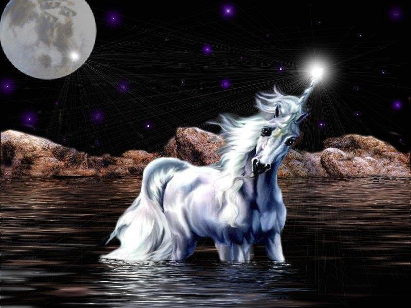 White Unicorn in Water — Magical