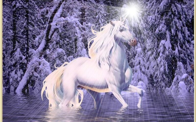 White Unicorn in Water — Magical, Winter