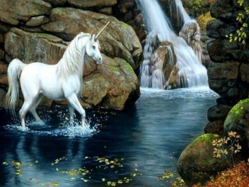 White Unicorn in Water — Serene