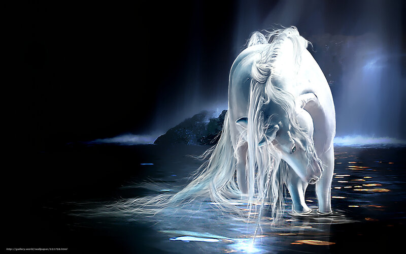 white unicorn in water
