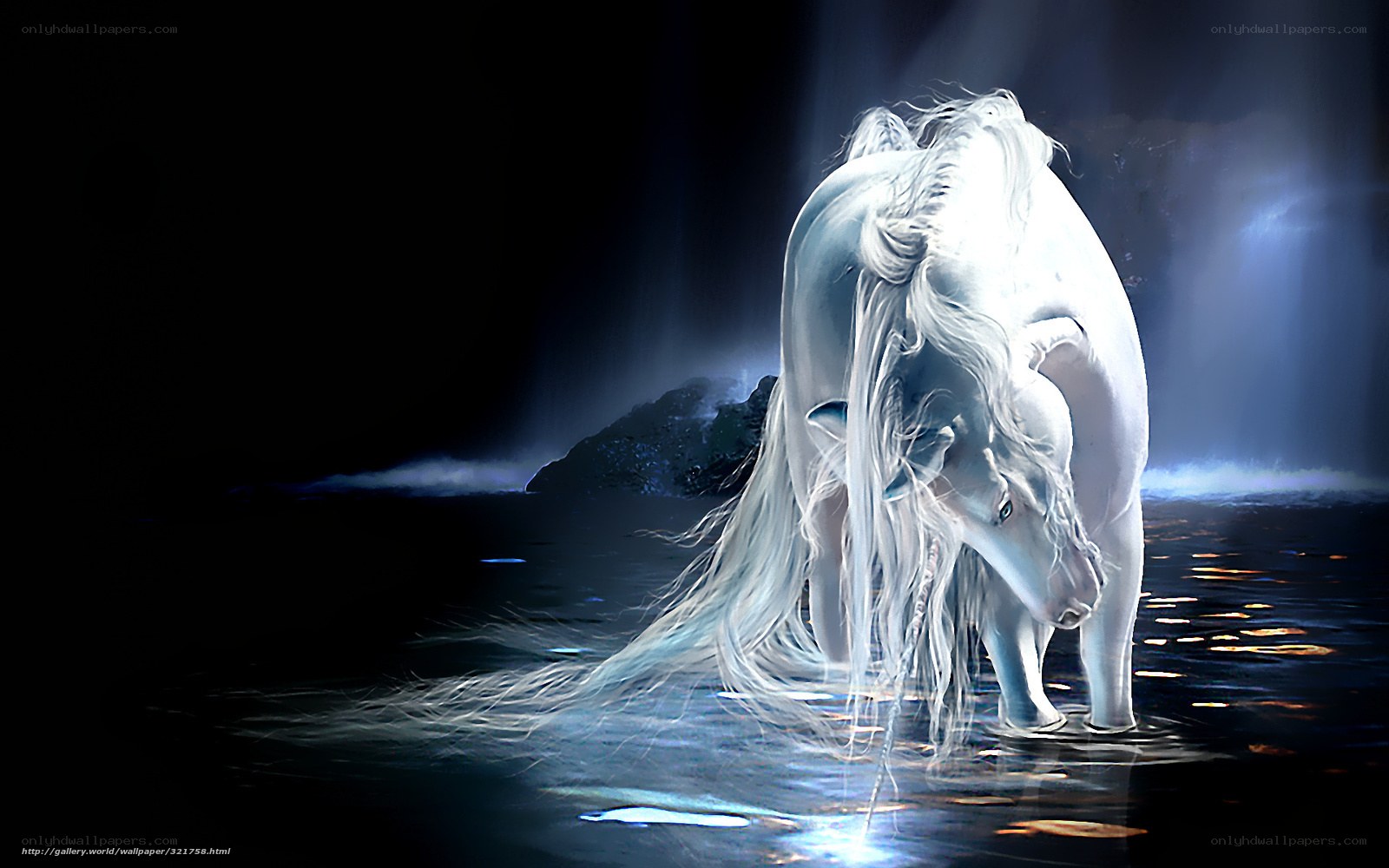 white unicorn in water