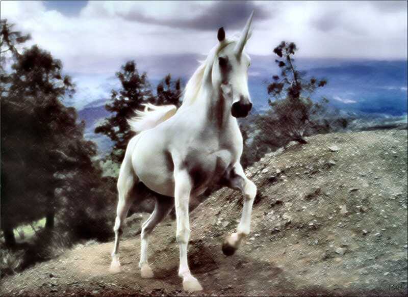 White Unicorn on Hill