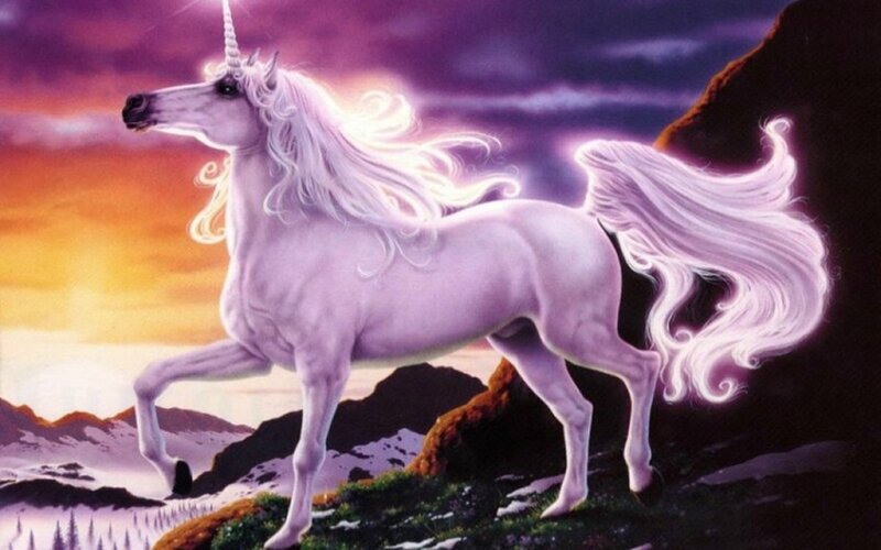 White Unicorn on Mountain — Purple