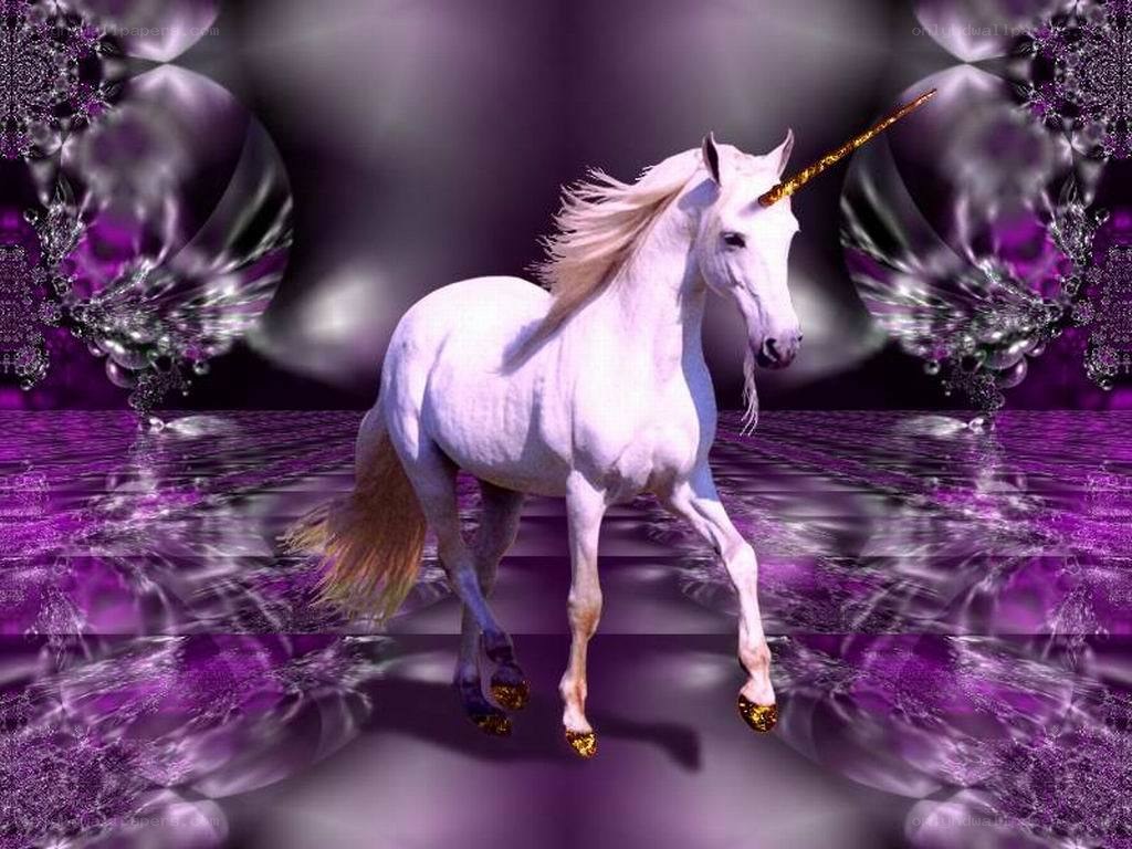 white unicorn on purple background