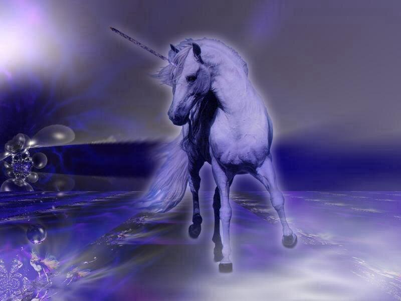 white unicorn on purple landscape