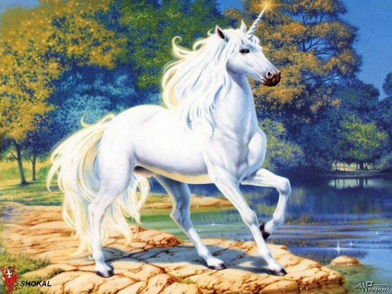 White Unicorn on Rock — Serene