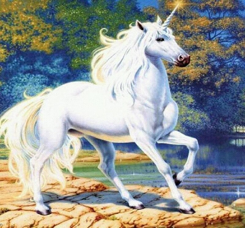 White Unicorn on Rock