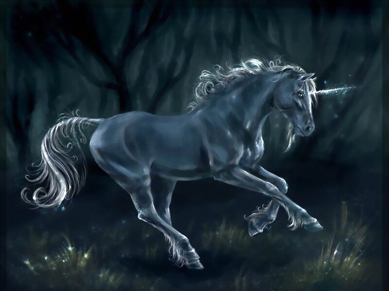 White Unicorn Running — Gray, Dramatic