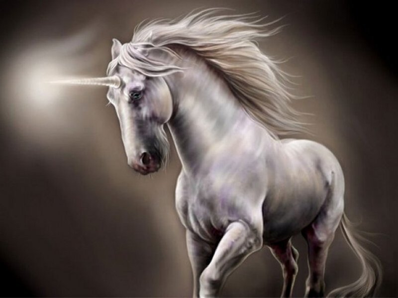 White Unicorn Running — Gray