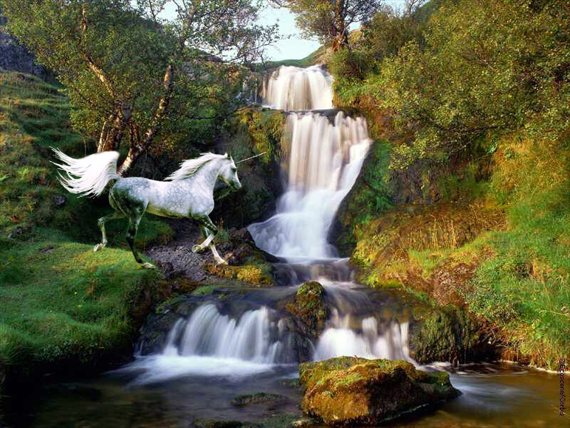 White Unicorn Running — Green, Serene, Afternoon