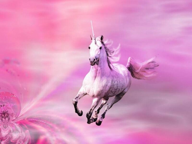 White Unicorn Running — Pink, Fantastical