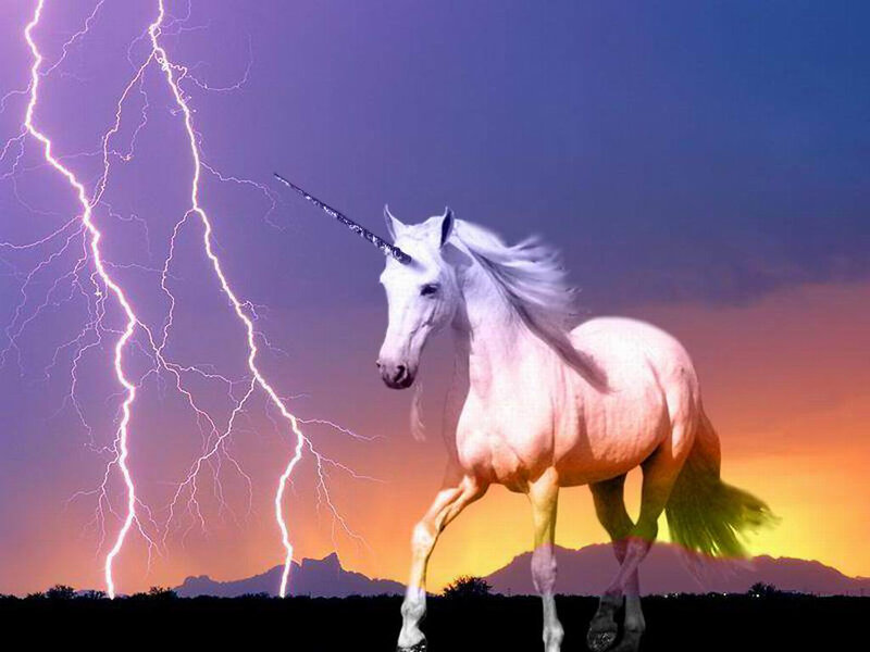 White Unicorn Running — Purple, Dramatic