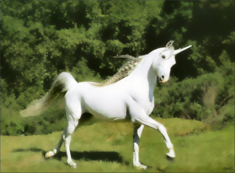 White Unicorn Running — Serene, Afternoon