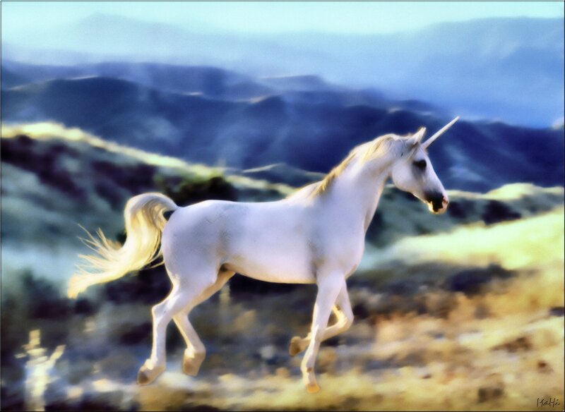 White Unicorn Running — Serene