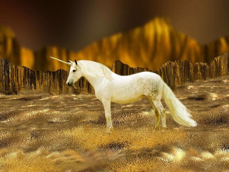 White Unicorn Standing — Dramatic