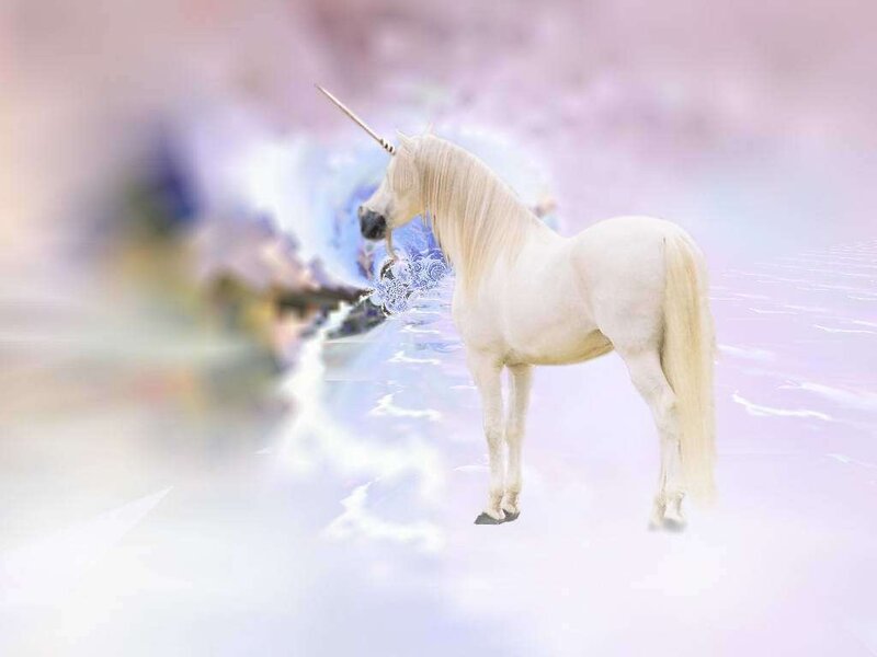 White Unicorn Standing — Ethereal
