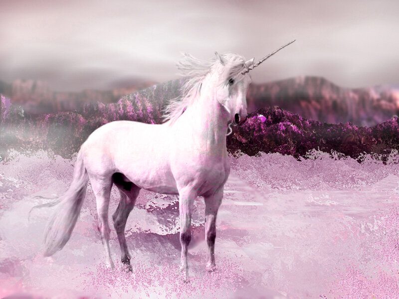 White Unicorn Standing — Pink